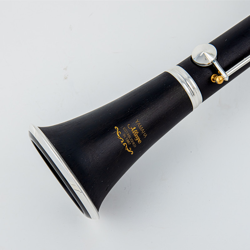 Musical Instrument Japan - Japan Brand New Professional Wood /