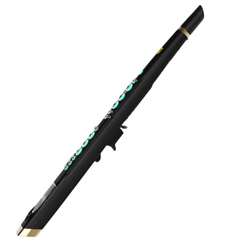 C20 true sampling domestic hig - Musical Instrument Blow review and price