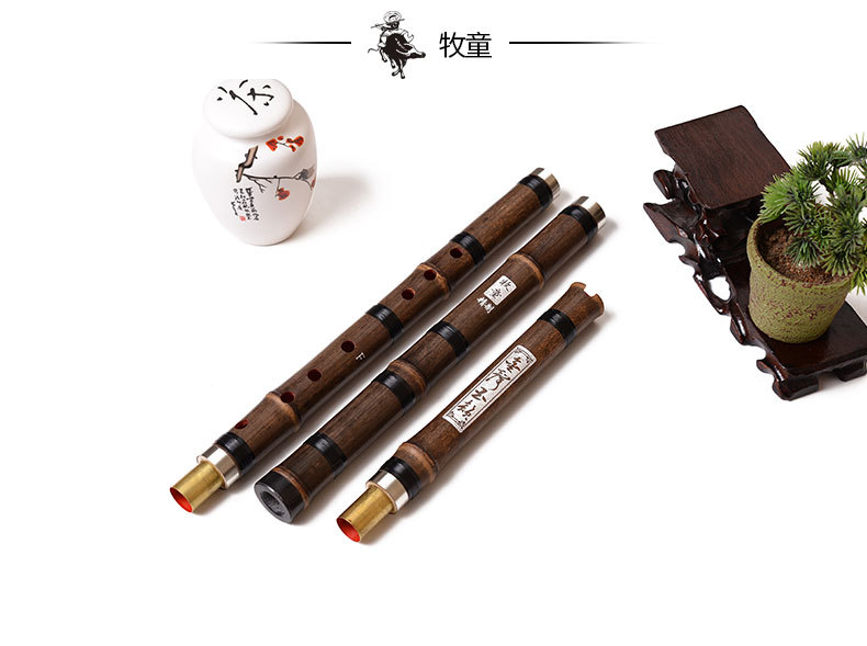 Chinese Bamboo Flute Xiao Vert - Musical Instrument Xiao review and price