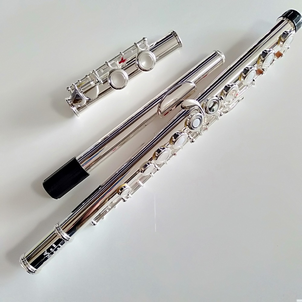 Professional Top Japan FL-471  - Musical Instrument Japan review and price