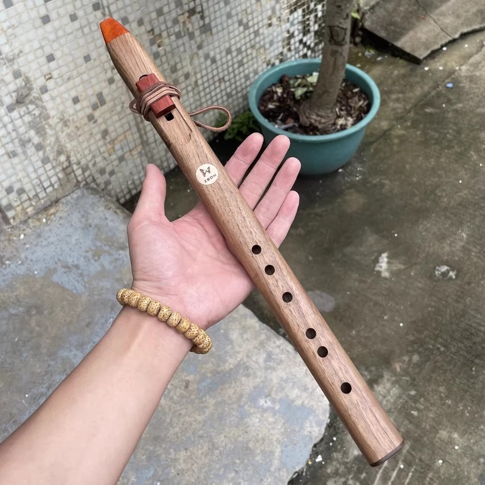 B/C/D/E/F Tone Wooden Vertical - Musical Instrument A Recorder review and price