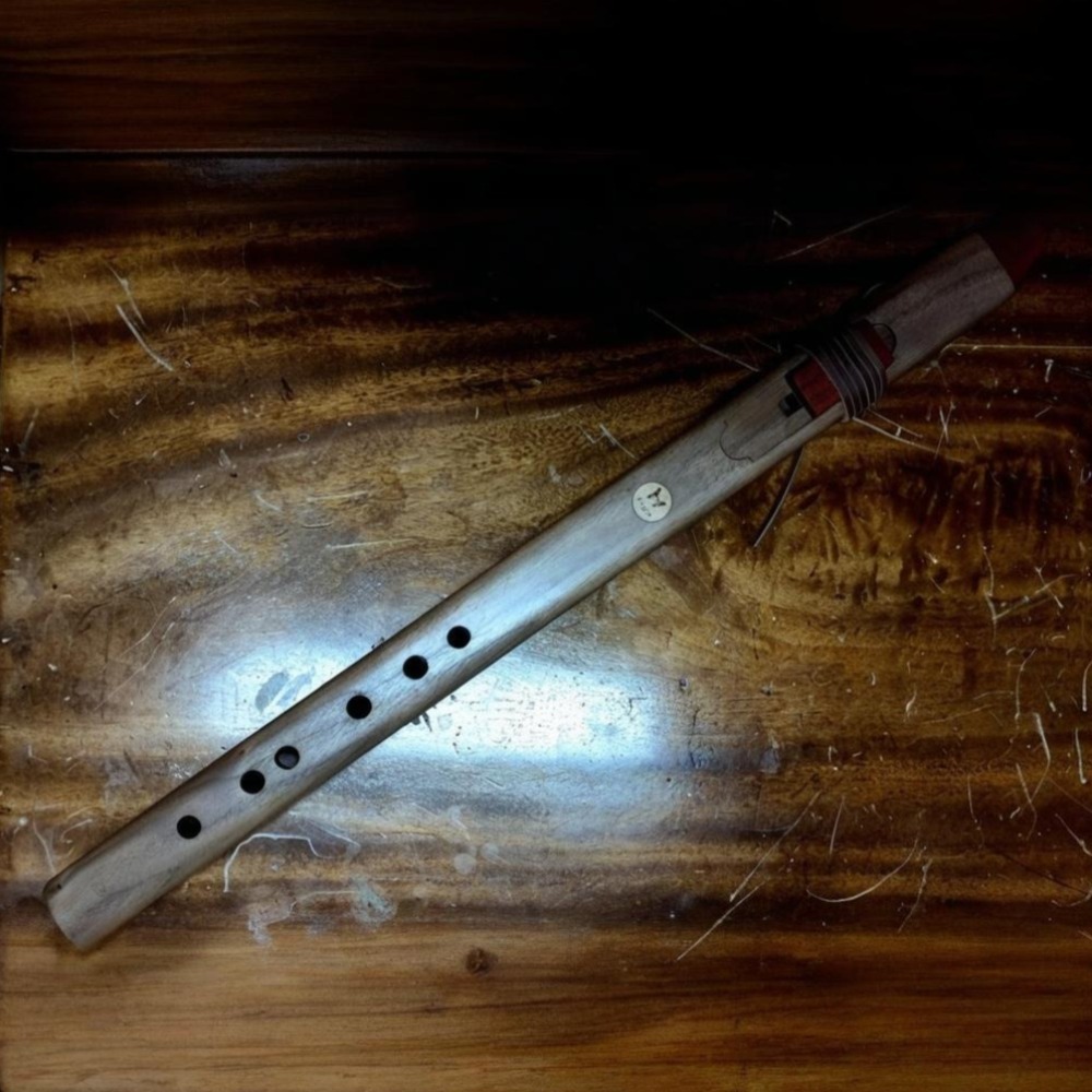 B/C/D/E/F Tone Wooden Vertical - Musical Instrument A Recorder review and price