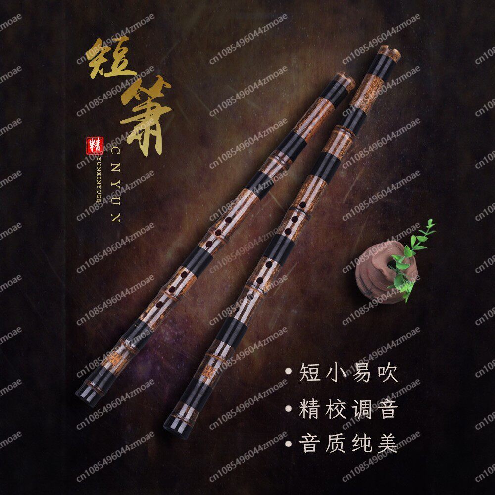 Professional play hole flute o - Musical Instrument Xiao review and price