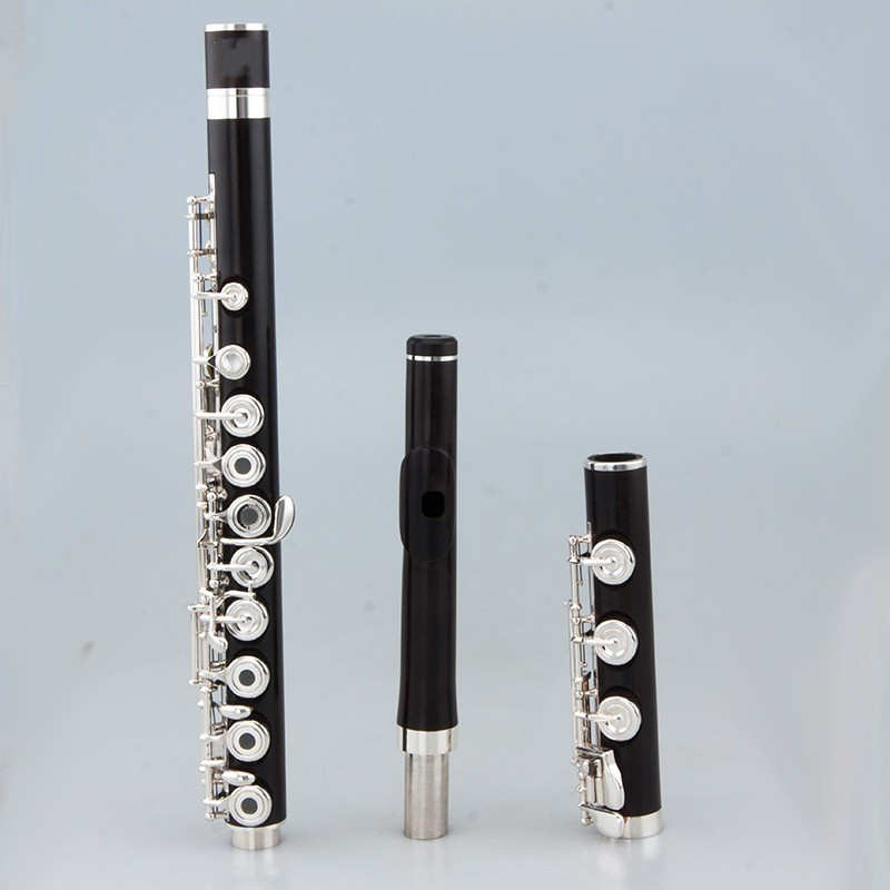 Professional Top Japan C Key 1 - Musical Instrument Japan review and price