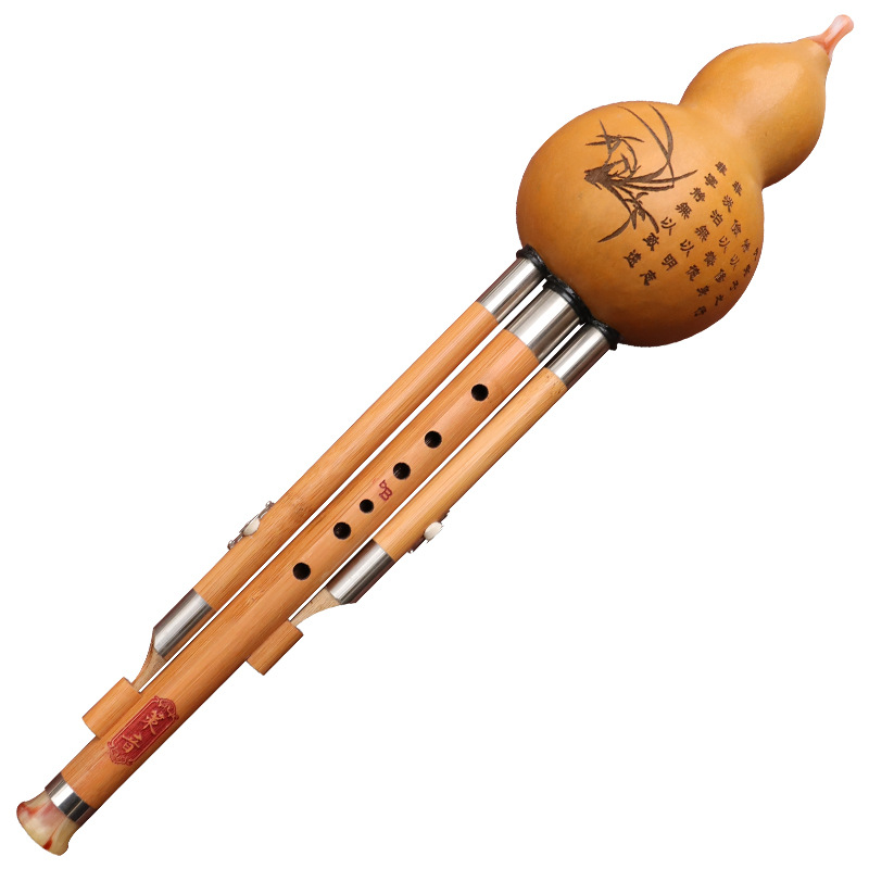 Nanzhu Gourd Silk Musical Inst - Musical Instrument Blow review and price