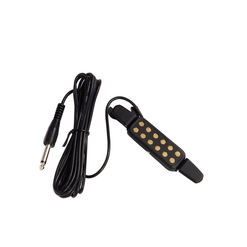 Professional Classic Acoustic  - Musical Instrument Amplifier review and price