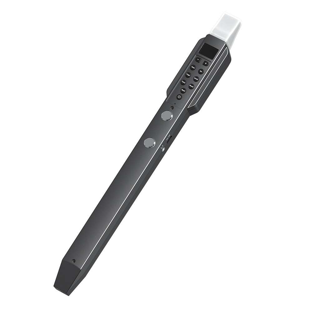 Small Transverse Flute Electro - Musical Instrument A Recorder review and price