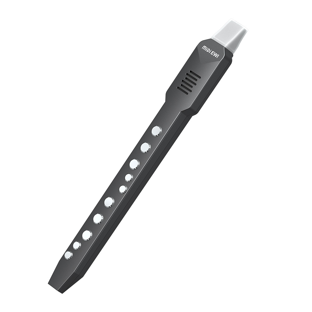 Small Transverse Flute Electro - Musical Instrument A Recorder review and price