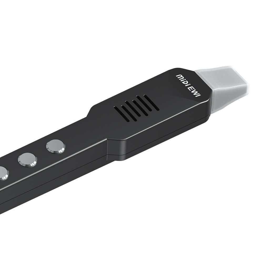Small Transverse Flute Electro - Musical Instrument A Recorder review and price