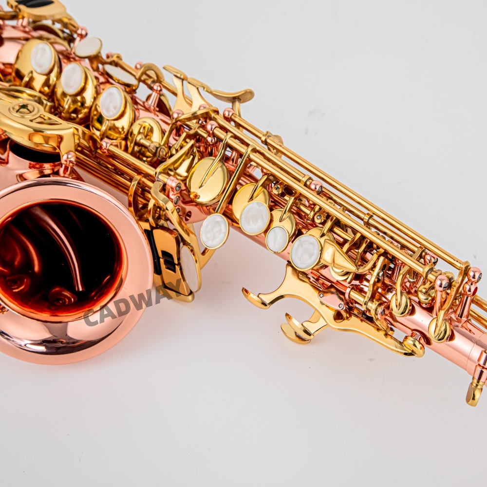 Japan Saxophone Soprano  B fla - Musical Instrument Japan review and price
