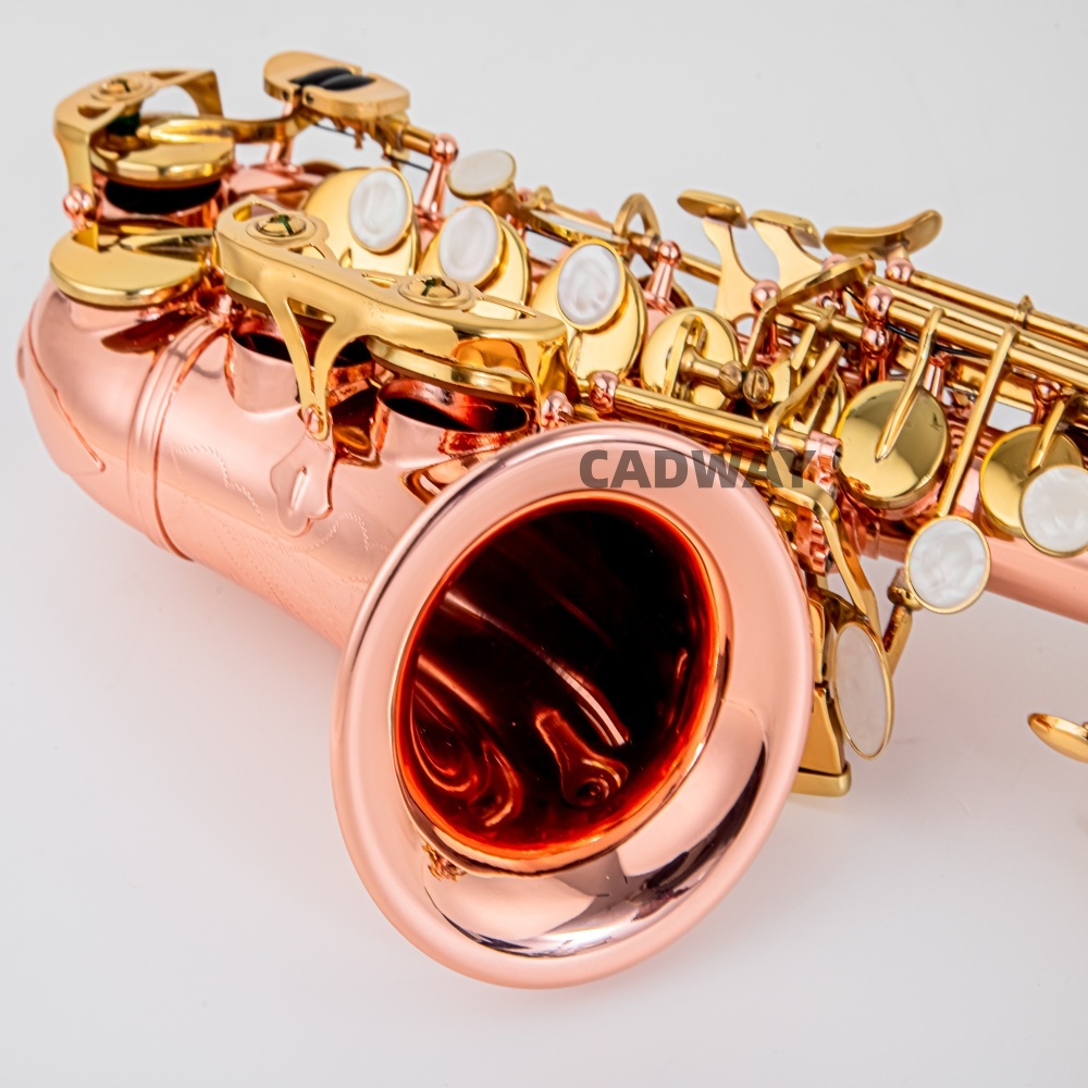 Japan Saxophone Soprano  B fla - Musical Instrument Japan review and price