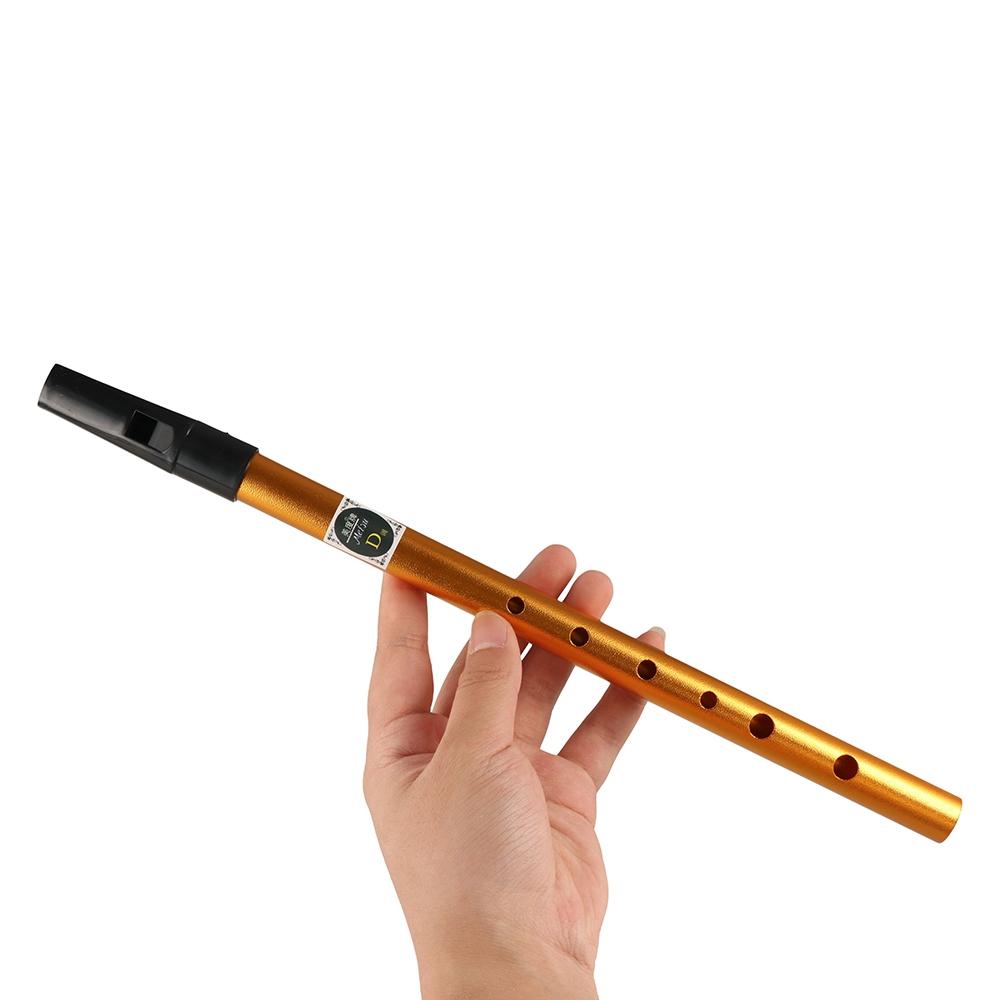 Musical Accessories 6 Hole Iri - Musical Instrument Flute review and price