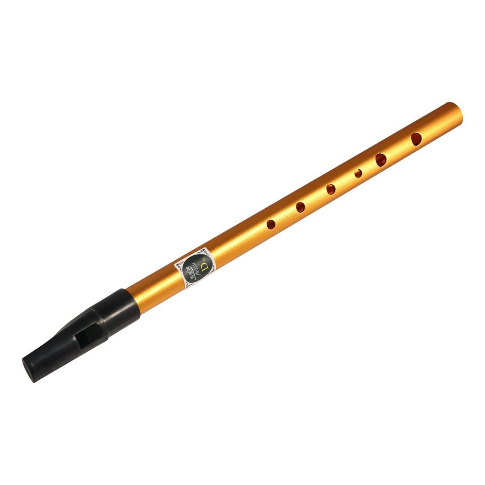 Musical Accessories 6 Hole Iri - Musical Instrument Flute review and price
